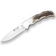 Joker Terrier NC19, agancs markolattal
